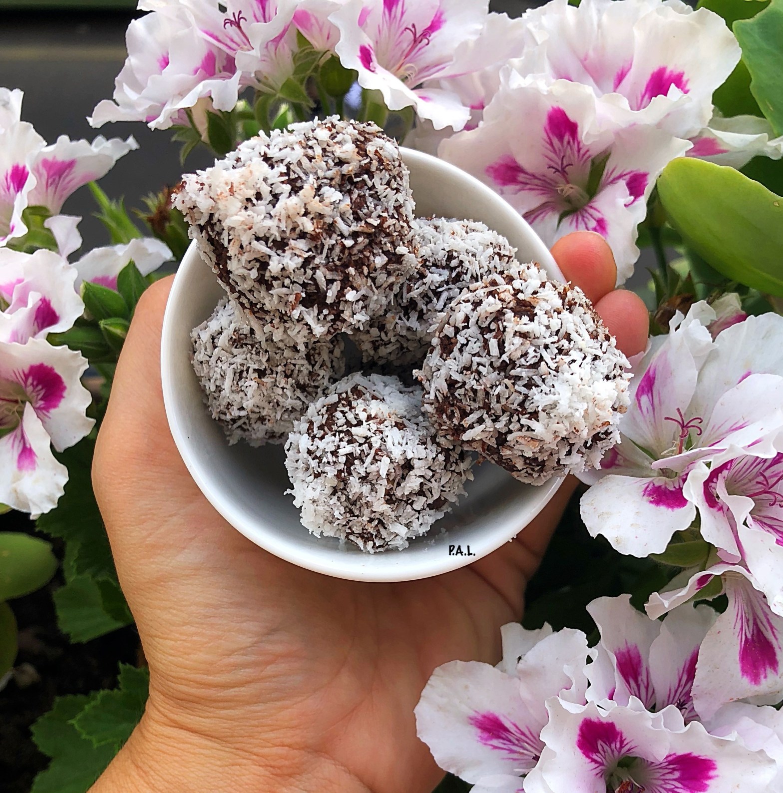 Ciocococco cacao cocco vegani